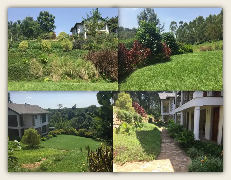 The completed Bubbles Hotel grounds: planted slopes, lawns and a stone path