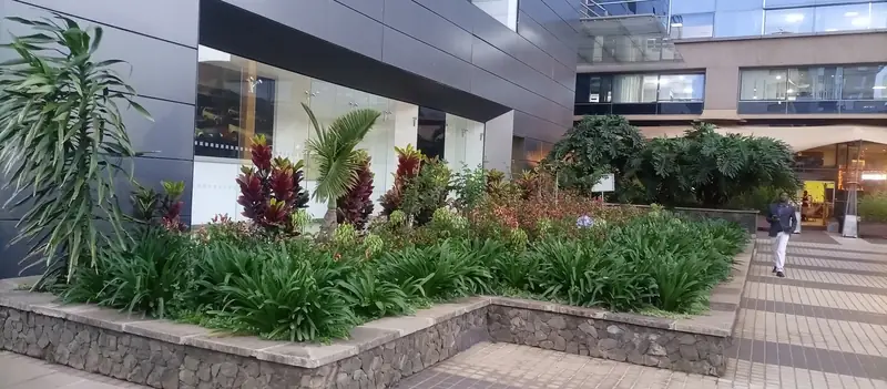 Stone-edged planting beds at an office entrance plaza