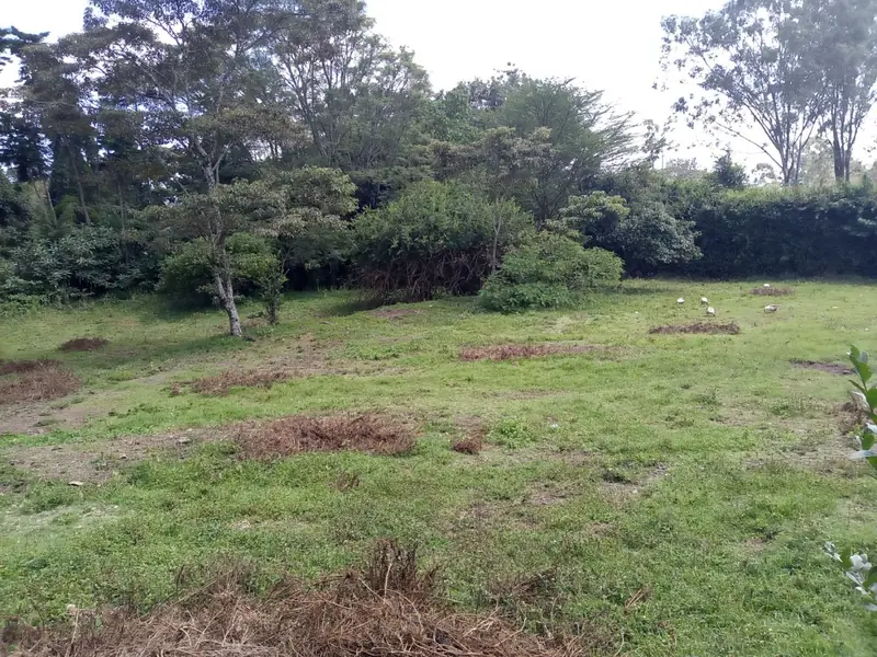 Before: The Karen site before design: rough grass and patchy ground under mature trees