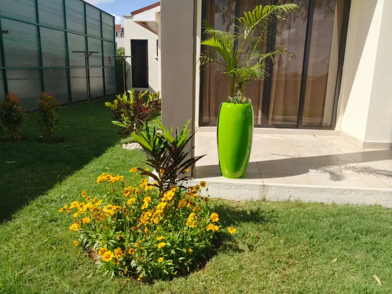 Planted bed with a tall green pot and yellow daisies, Machakos