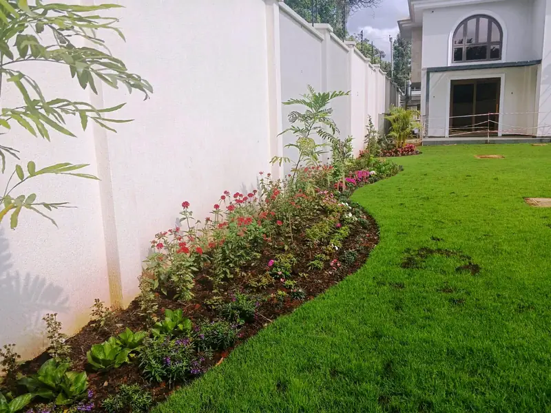 Curved flowering border along a white wall, Nairobi residence