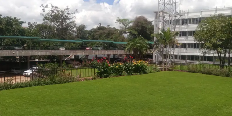 After: NIA headquarters after landscaping: finished lawn and planting beside the parking canopy